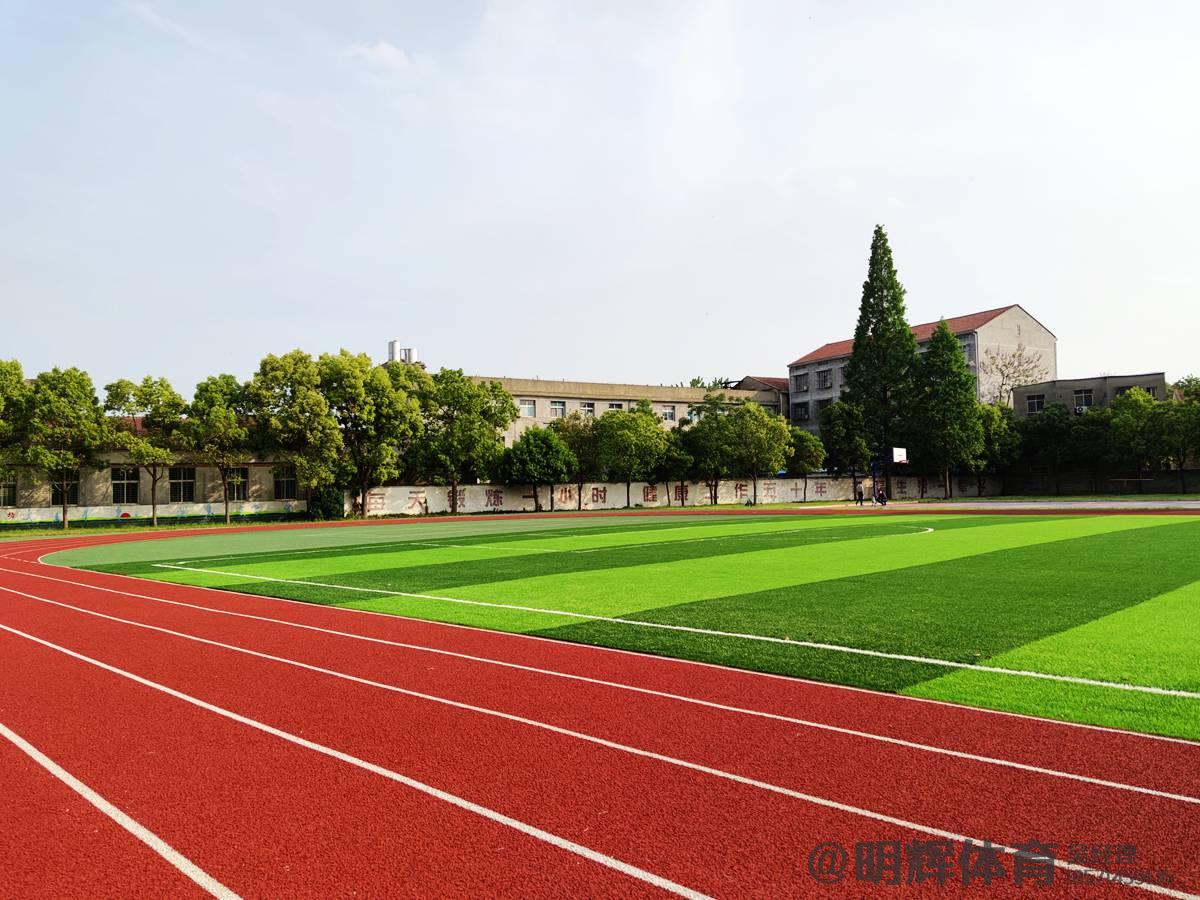 孝感汉川新河中学人造草足球场效果图