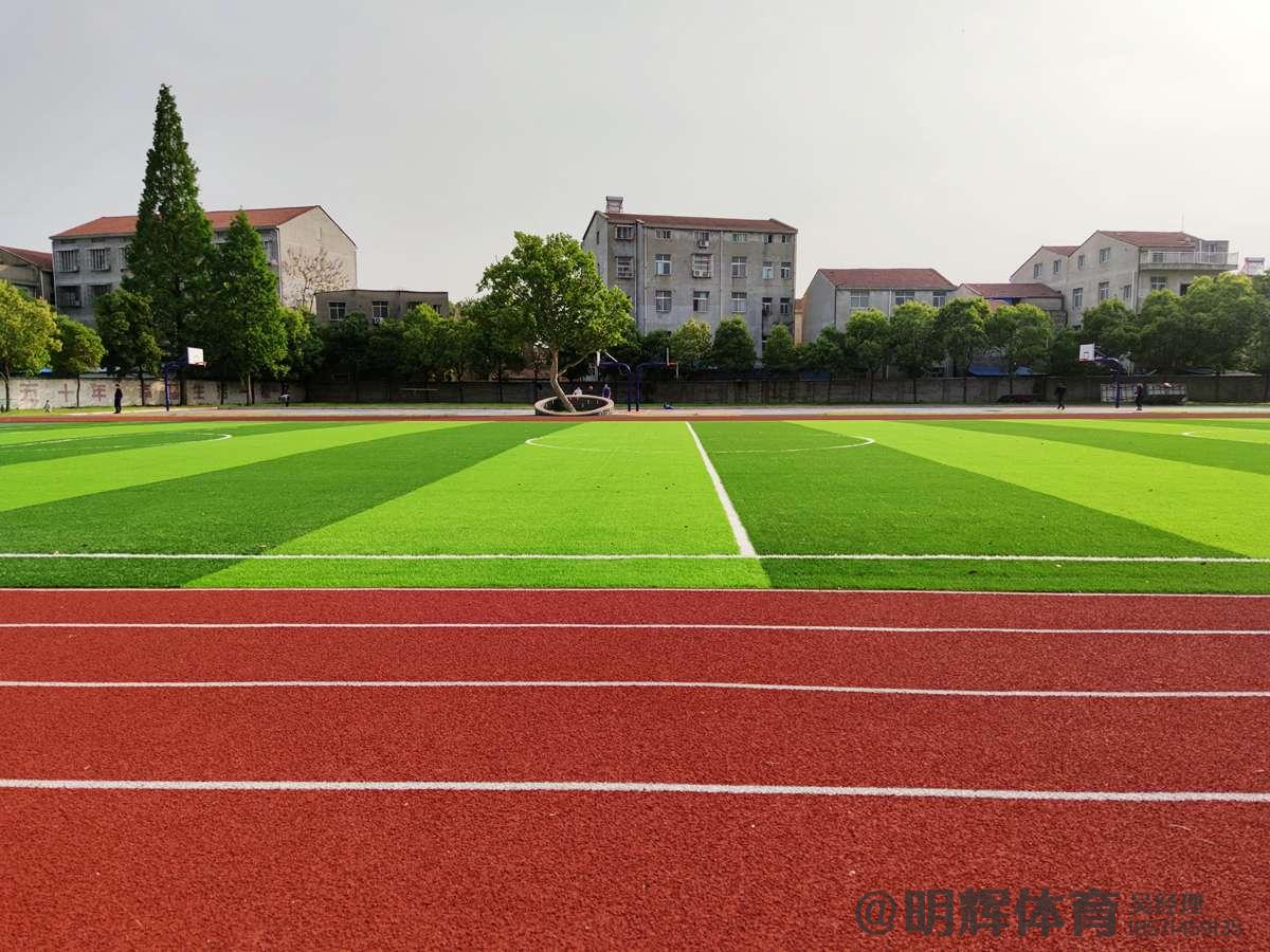 孝感汉川新河中学人造草足球场